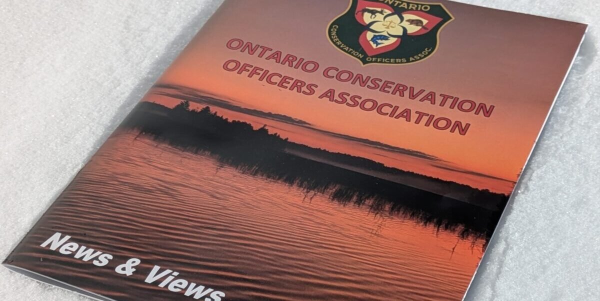 Featured image for “News and Views – Fall 2025 Edition now available”